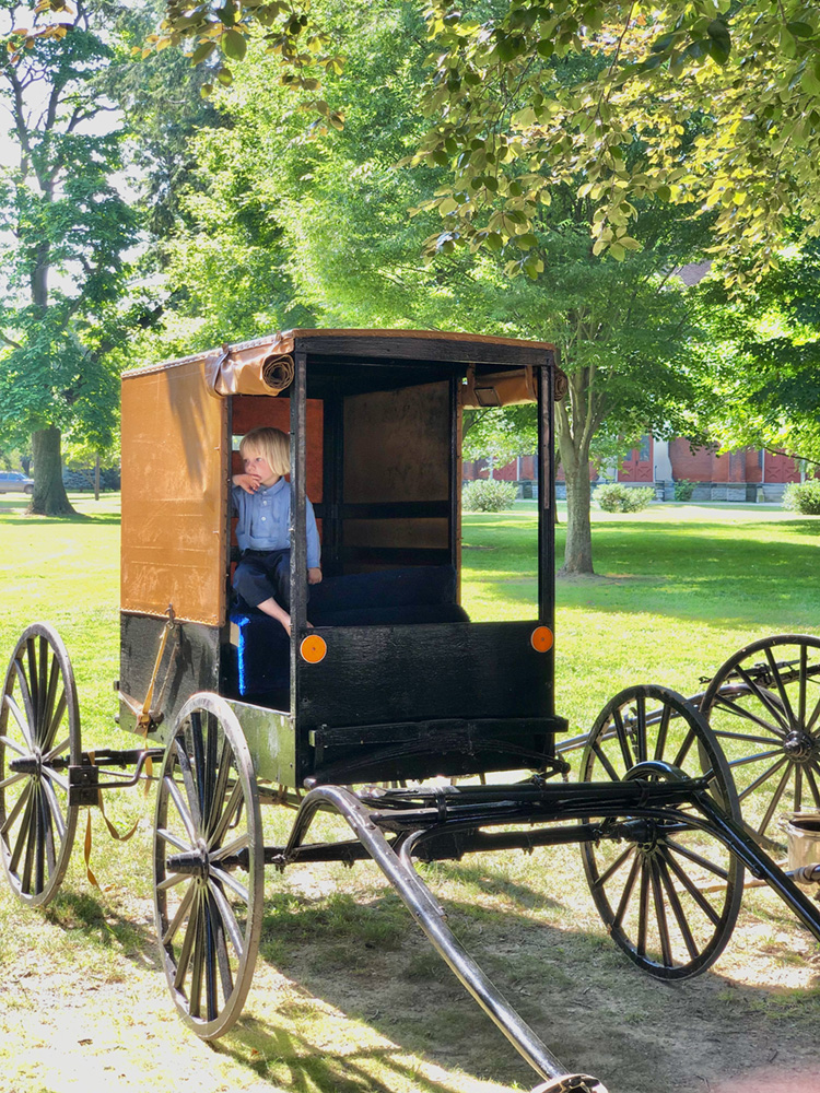 Amish child in buggy, Westfield, Upstate New York