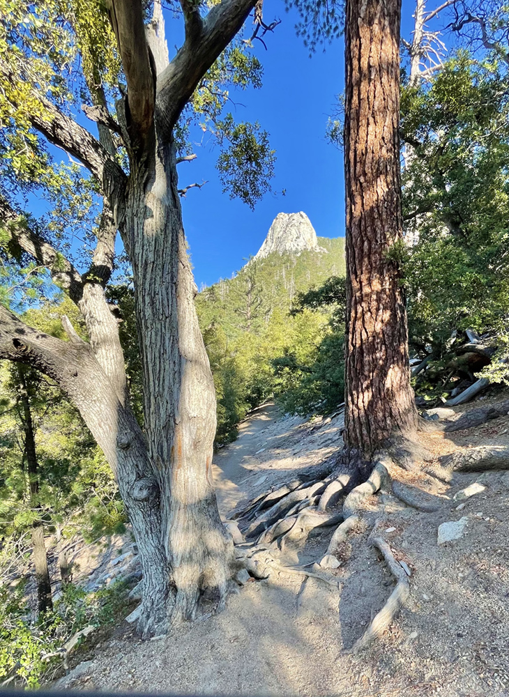 Lily Rock in San Jacinto Mountains, California