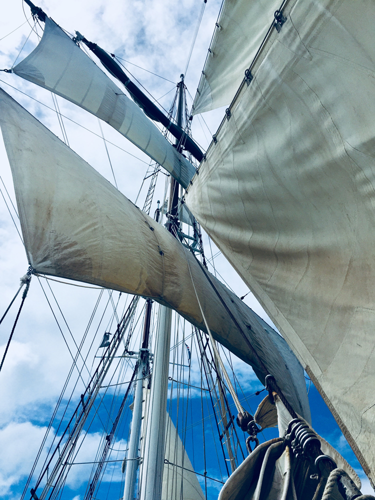 Schooner under sail, Whitsundays, Queensland
